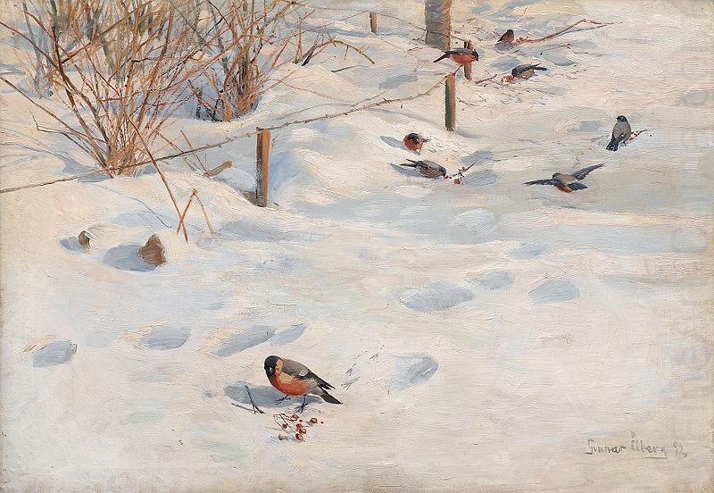 Gunnar aberg Domherrar i vinterlandskap china oil painting image